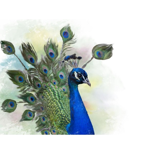 Pavone 5d Diy Kit Diamond Painting Pittura Di Diamante NO3445