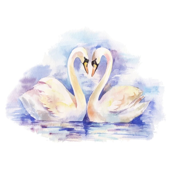 Cigno 5d Diy Kit Diamond Painting Pittura Di Diamante NO3442