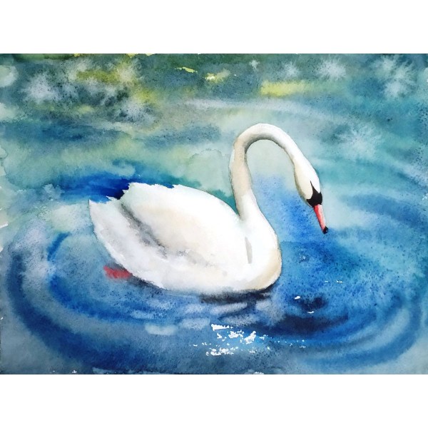 Cigno 5d Diy Kit Diamond Painting Pittura Di Diamante NO3436