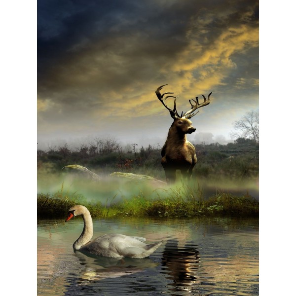 Cigno 5d Diy Kit Diamond Painting Pittura Di Diamante NO3434