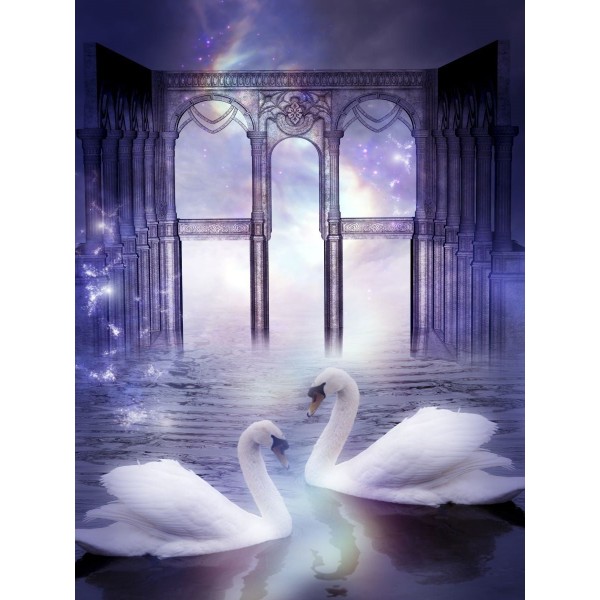 Cigno 5d Diy Kit Diamond Painting Pittura Di Diamante NO3433