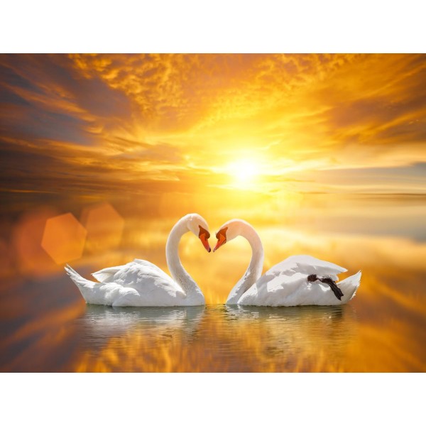 Cigno 5d Diy Kit Diamond Painting Pittura Di Diamante NO3438