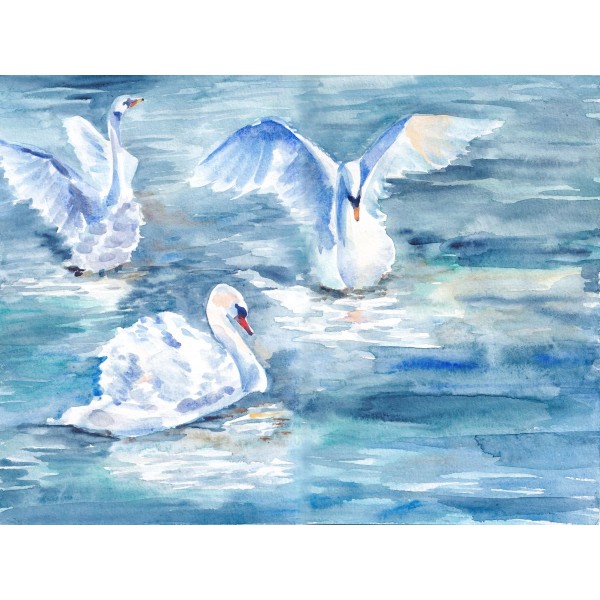 Cigno 5d Diy Kit Diamond Painting Pittura Di Diamante NO3430