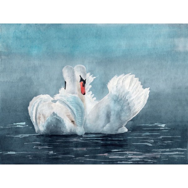 Cigno 5d Diy Kit Diamond Painting Pittura Di Diamante NO3429