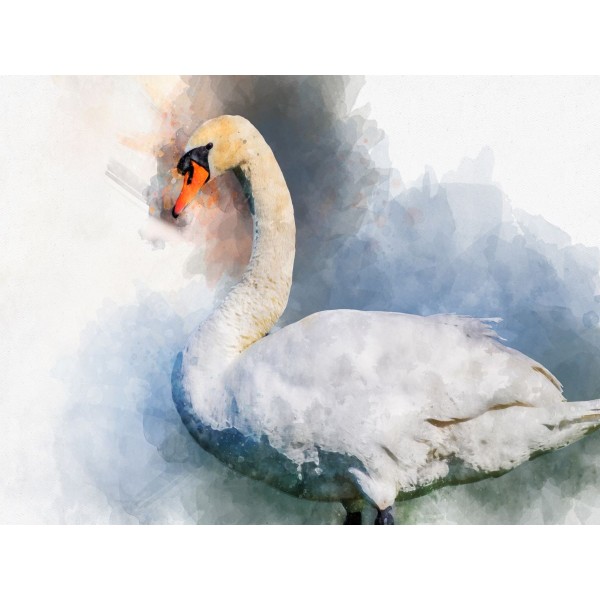 Cigno 5d Diy Kit Diamond Painting Pittura Di Diamante NO3428