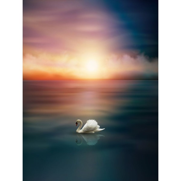 Cigno 5d Diy Kit Diamond Painting Pittura Di Diamante NO3427