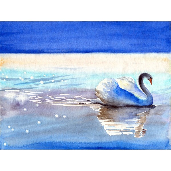 Cigno 5d Diy Kit Diamond Painting Pittura Di Diamante NO3426