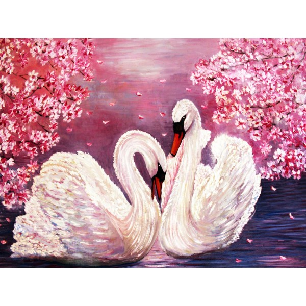 Cigno 5d Diy Kit Diamond Painting Pittura Di Diamante NO3423