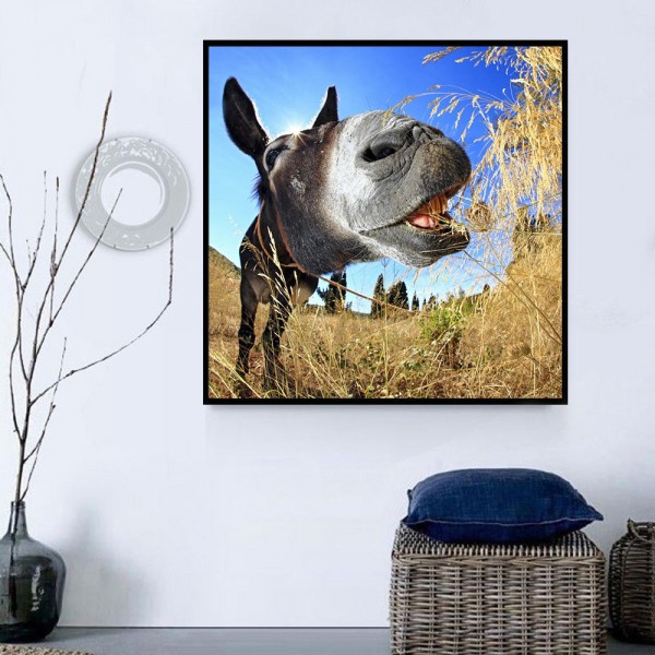 Asino 5d Diy Kit Diamond Painting Pittura Di Diamante NO3418