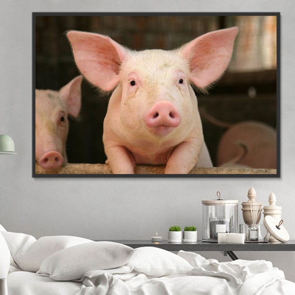 Maiale 5d Diy Kit Diamond Painting Pittura Di Diamante NO3404