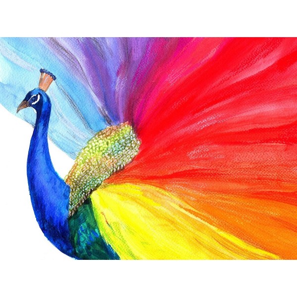 Pavone 5d Diy Kit Diamond Painting Pittura Di Diamante NO3394