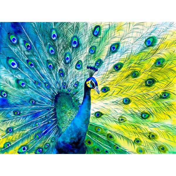 Pavone 5d Diy Kit Diamond Painting Pittura Di Diamante NO3389