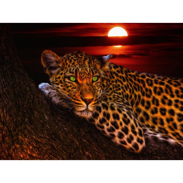 Leopardo 5d Diy Kit Diamond Painting Pittura Di Diamante NO3385