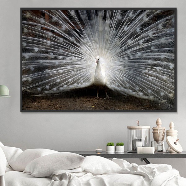 Pavone 5d Diy Kit Diamond Painting Pittura Di Diamante NO3378