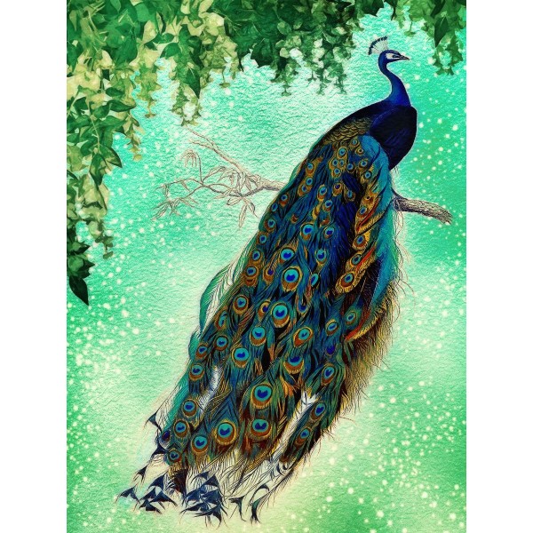 Pavone 5d Diy Kit Diamond Painting Pittura Di Diamante NO3374