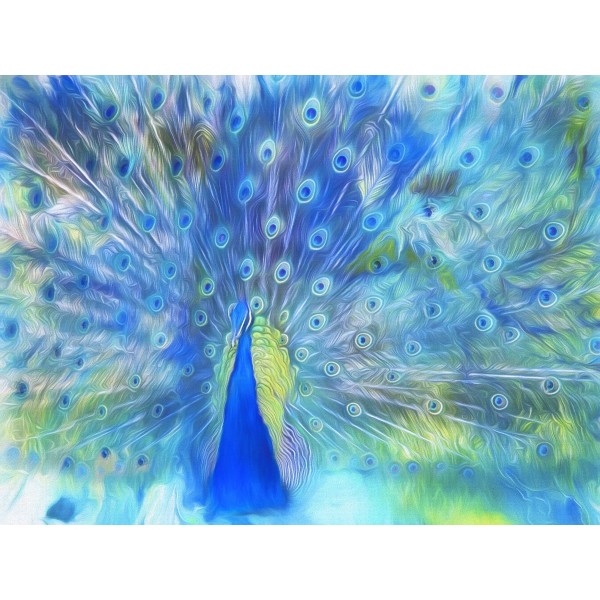 Pavone 5d Diy Kit Diamond Painting Pittura Di Diamante NO3373