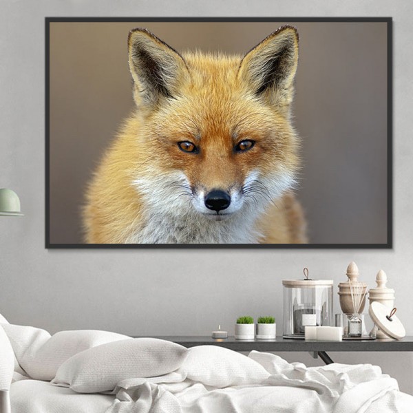 Volpe 5d Diy Kit Diamond Painting Pittura Di Diamante NO3363