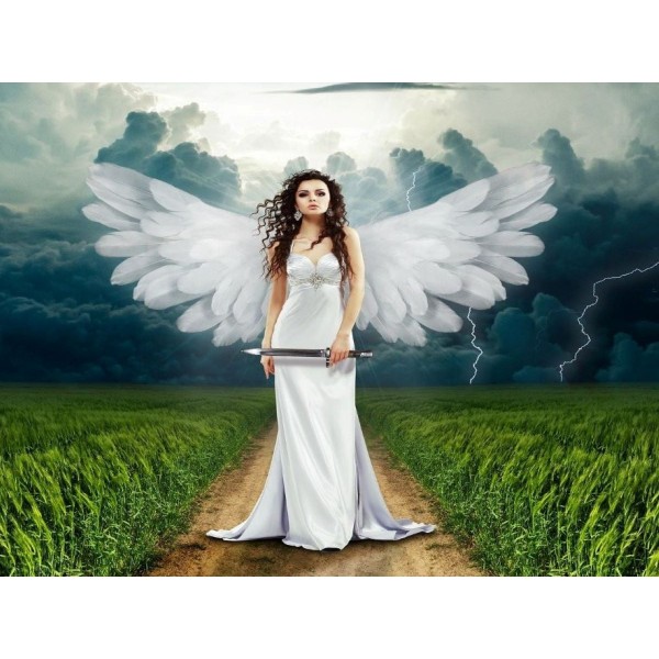 Fata 5d Diy Kit Diamond Painting Pittura Di Diamante NO3239