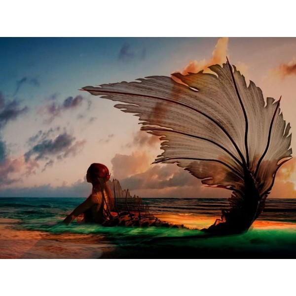 Fata 5d Diy Kit Diamond Painting Pittura Di Diamante NO3237