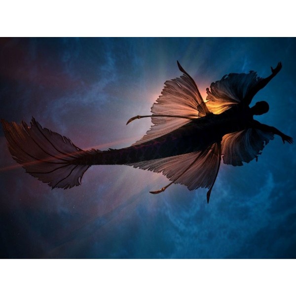 Fata 5d Diy Kit Diamond Painting Pittura Di Diamante NO3236