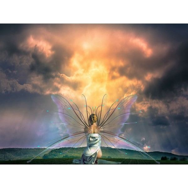 Fata 5d Diy Kit Diamond Painting Pittura Di Diamante NO3234