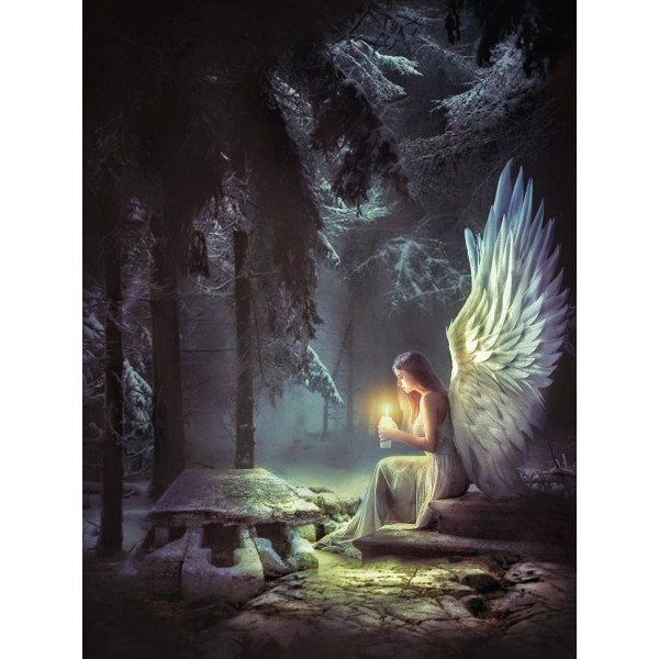 Fata 5d Diy Kit Diamond Painting Pittura Di Diamante NO3233