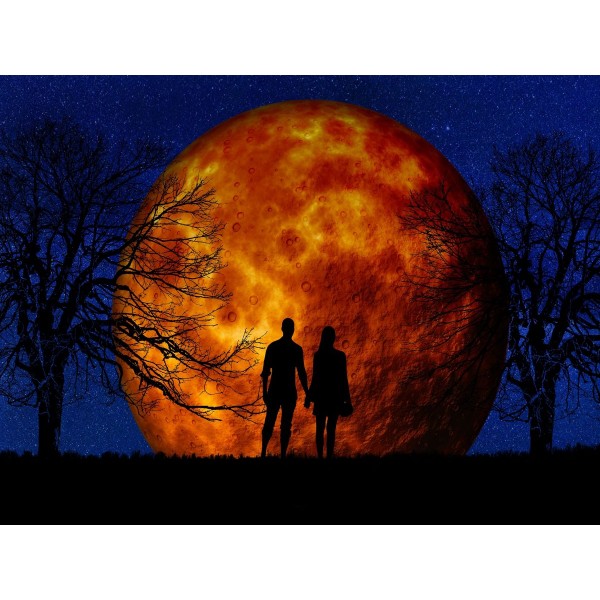 Ritratto 5d Diy Kit Diamond Painting Pittura Di Diamante NO3179