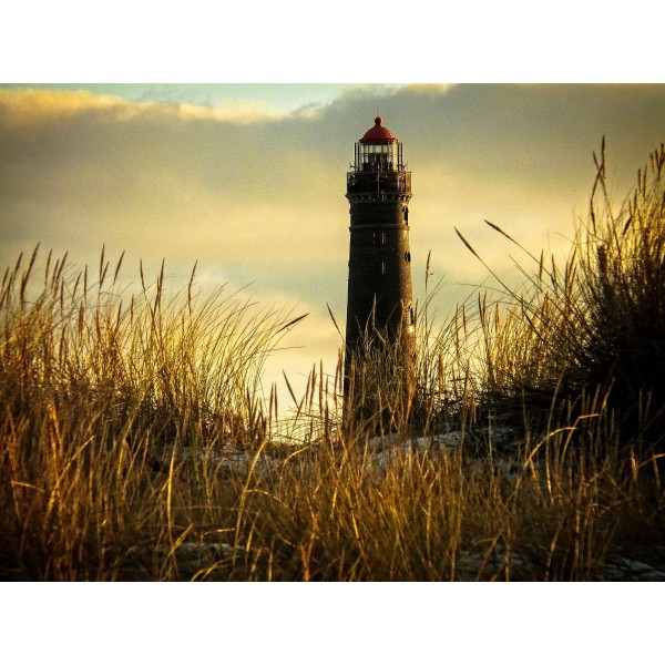 Faro 5d Diy Kit Diamond Painting Pittura Di Diamante NO3116