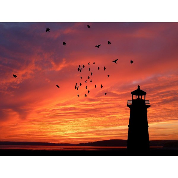 Faro 5d Diy Kit Diamond Painting Pittura Di Diamante NO3106