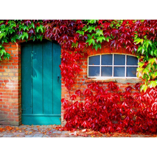 Paesaggio 5d Diy Kit Diamond Painting Pittura Di Diamante NO3065