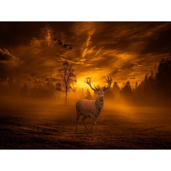 Cervo 5d Diy Kit Diamond Painting Pittura Di Diamante NO2916