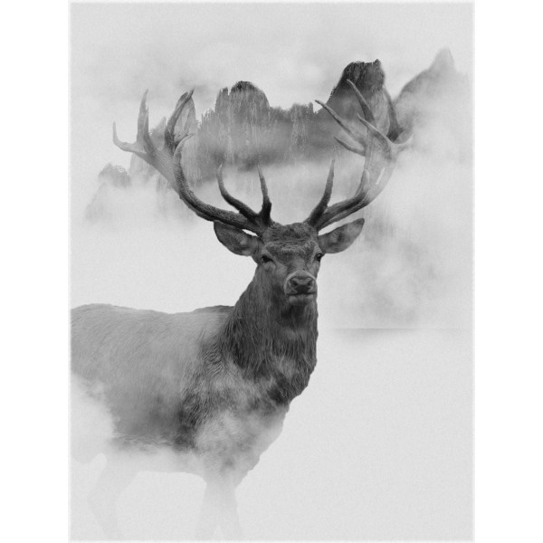 Cervo 5d Diy Kit Diamond Painting Pittura Di Diamante NO2913