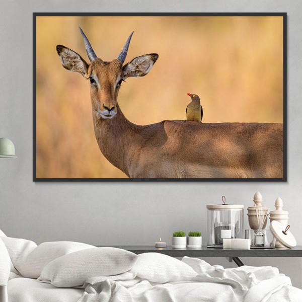 Cervo 5d Diy Kit Diamond Painting Pittura Di Diamante NO2914