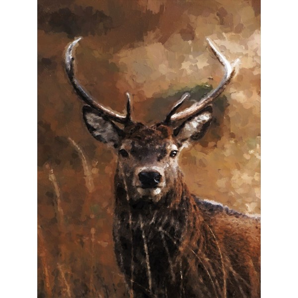 Cervo 5d Diy Kit Diamond Painting Pittura Di Diamante NO2910