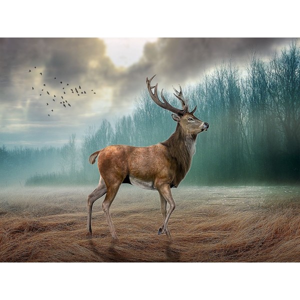 Cervo 5d Diy Kit Diamond Painting Pittura Di Diamante NO2907
