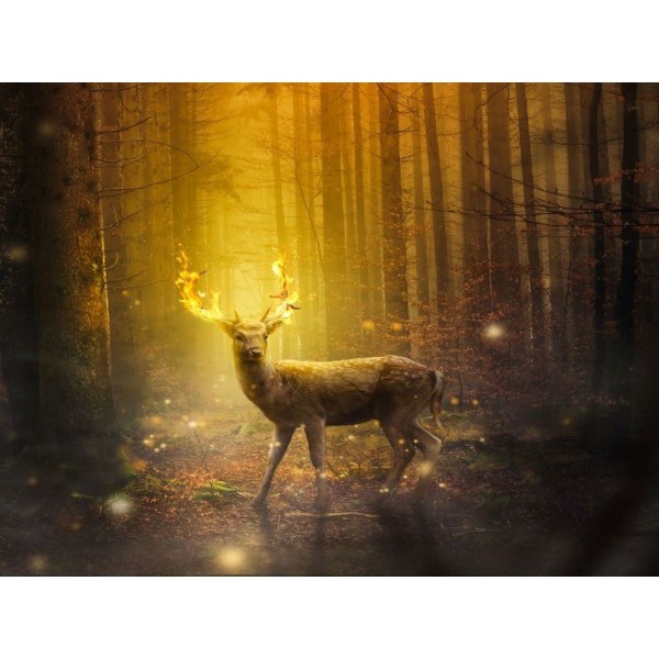 Cervo 5d Diy Kit Diamond Painting Pittura Di Diamante NO2906