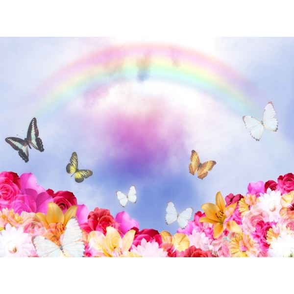 Farfalla 5d Diy Kit Diamond Painting Pittura Di Diamante NO2764