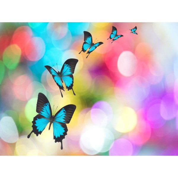 Farfalla 5d Diy Kit Diamond Painting Pittura Di Diamante NO2762