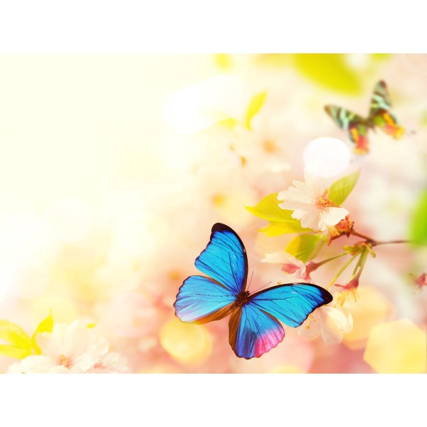 Farfalla 5d Diy Kit Diamond Painting Pittura Di Diamante NO2760