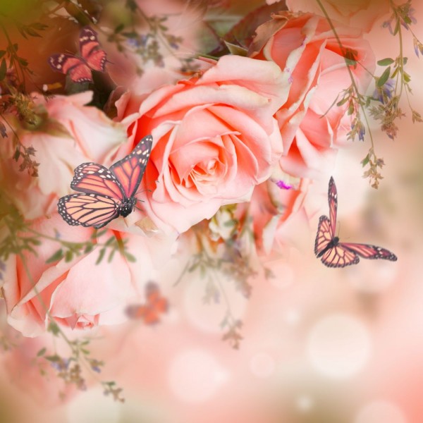 Farfalla 5d Diy Kit Diamond Painting Pittura Di Diamante NO2757