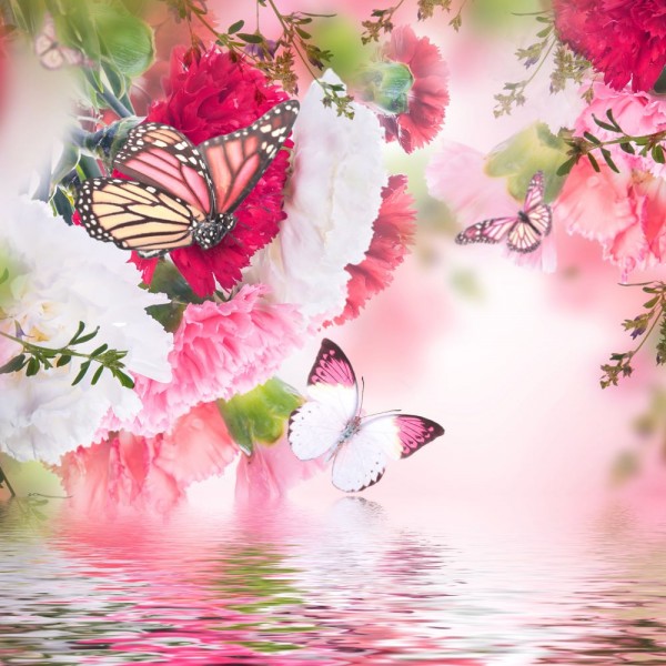 Farfalla 5d Diy Kit Diamond Painting Pittura Di Diamante NO2755