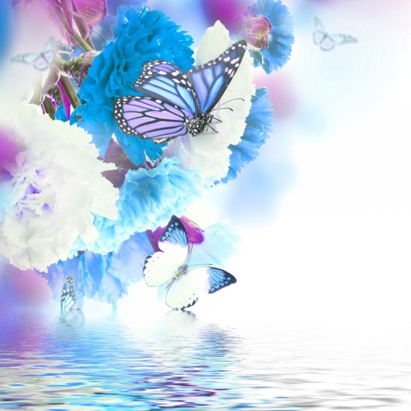 Farfalla 5d Diy Kit Diamond Painting Pittura Di Diamante NO2754