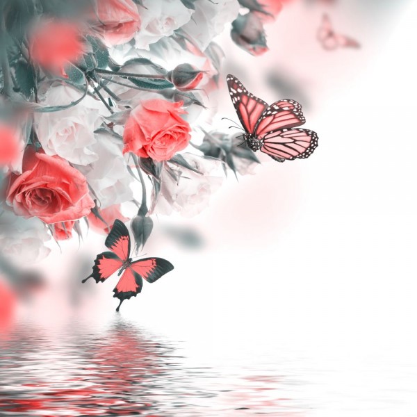 Farfalla 5d Diy Kit Diamond Painting Pittura Di Diamante NO2751