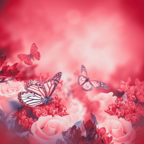 Farfalla 5d Diy Kit Diamond Painting Pittura Di Diamante NO2747