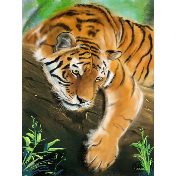 Tigre 5d Diy Kit Diamond Painting Pittura Di Diamante NO2703