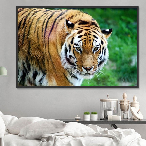 Tigre 5d Diy Kit Diamond Painting Pittura Di Diamante NO2679