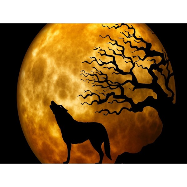 Lupo 5d Diy Kit Diamond Painting Pittura Di Diamante NO2626