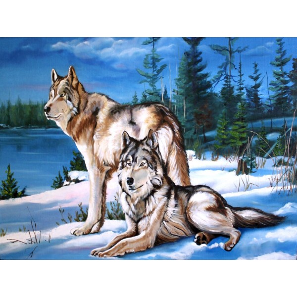 Lupo 5d Diy Kit Diamond Painting Pittura Di Diamante NO2624