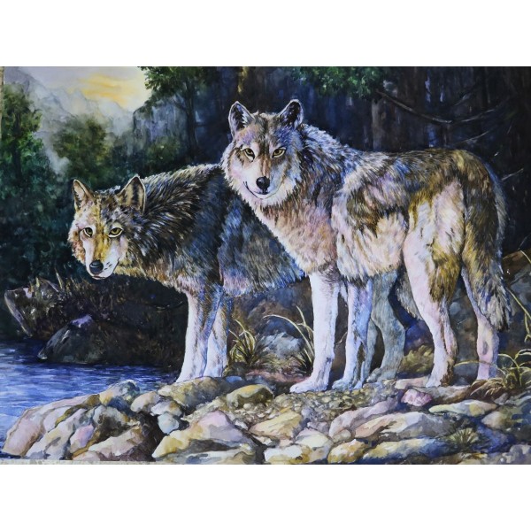 Lupo 5d Diy Kit Diamond Painting Pittura Di Diamante NO2622