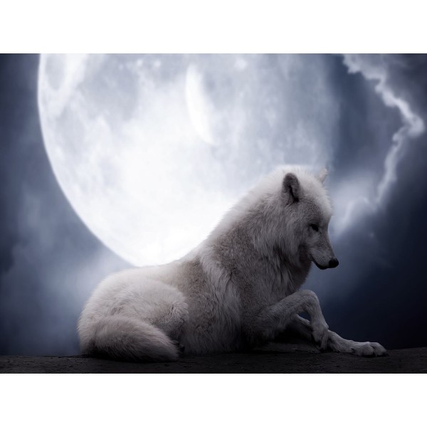 Lupo 5d Diy Kit Diamond Painting Pittura Di Diamante NO2621